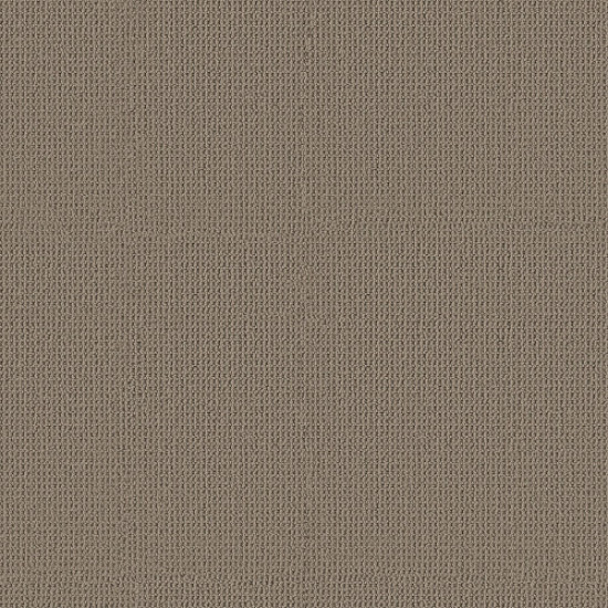 ARDEN PARK - Taupe Gray 00757