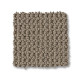 ARDEN PARK - Taupe Gray 00757