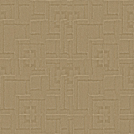 PATH - Tatami 00225