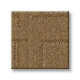 PATH - Amber Waves 00276 PATH - Amber Waves 00276