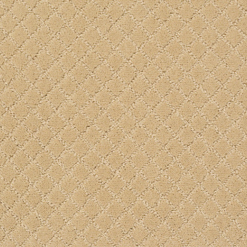 PAWNACHE - Cork 00223