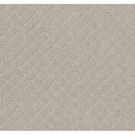 PAWNACHE - Silver Fox 00511