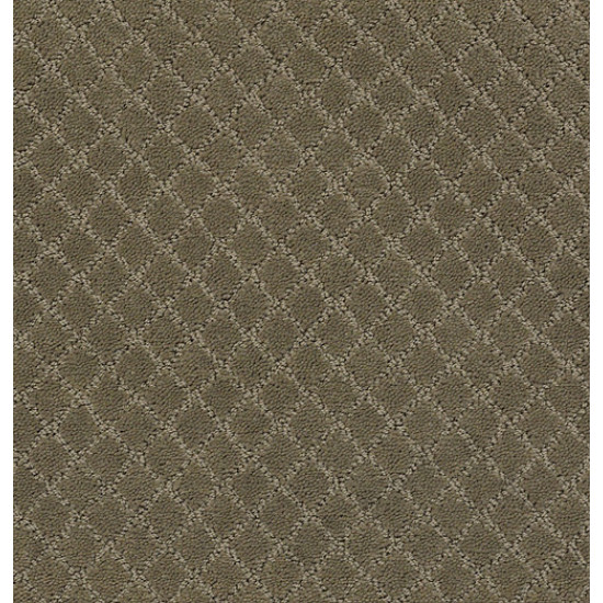 PAWNACHE - Dry Sage 00536