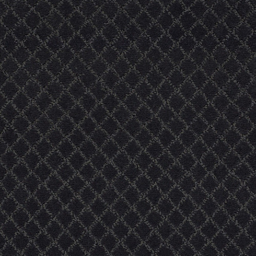 PAWNACHE - Night Shade 00558