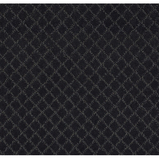 PAWNACHE - Night Shade 00558 PAWNACHE - Night Shade 00558