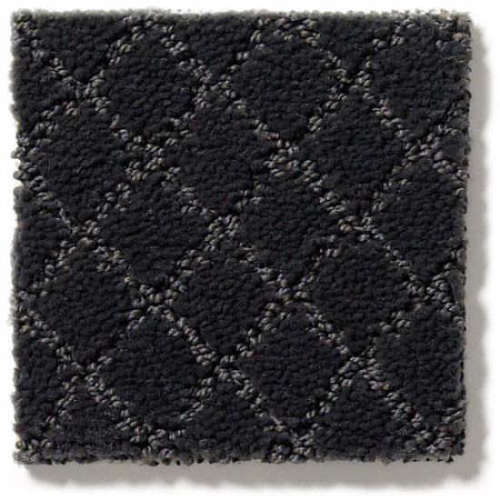 PAWNACHE - Night Shade 00558 PAWNACHE - Night Shade 00558