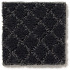PAWNACHE - Night Shade 00558 PAWNACHE - Night Shade 00558