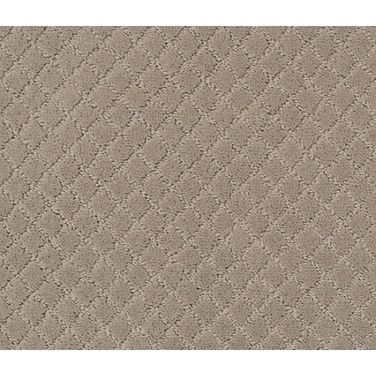 PAWNACHE - Mocha Cream 00711