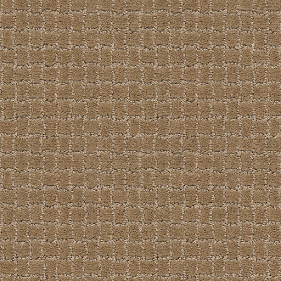 PAWSTRUCK - Peanut Shell 00186