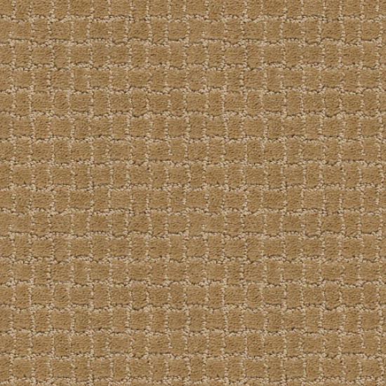 PAWSTRUCK - Golden Straw 00224