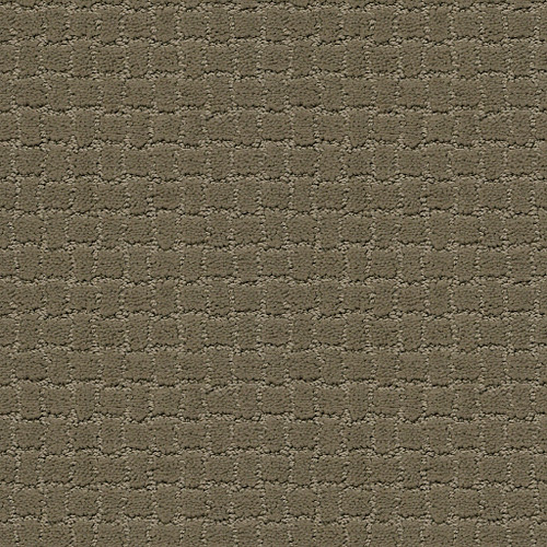 PAWSTRUCK - Dry Sage 00536