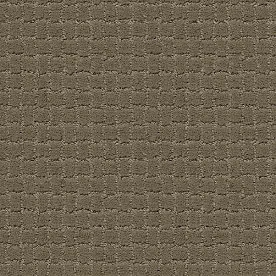 PAWSTRUCK - Dry Sage 00536