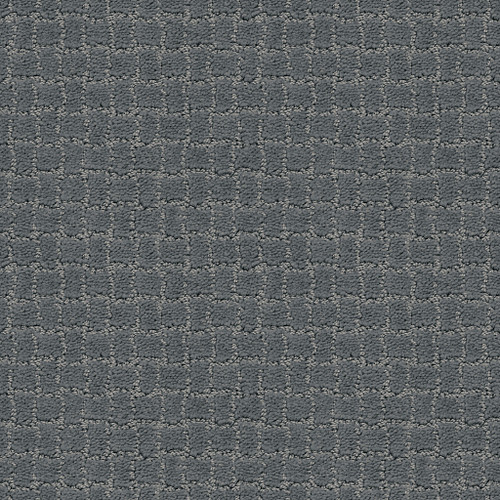 PAWSTRUCK - Steel Wool 00545