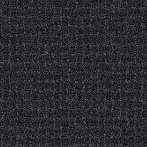 PAWSTRUCK - Night Shade 00558