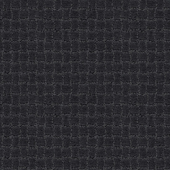 PAWSTRUCK - Night Shade 00558
