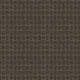 PAWSTRUCK - Overcoat 00716