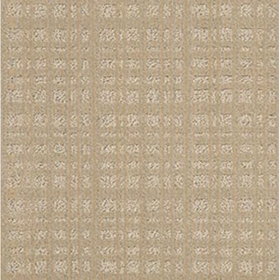PURRSUASION - Sunrise 00253 PURRSUASION - Sunrise 00253