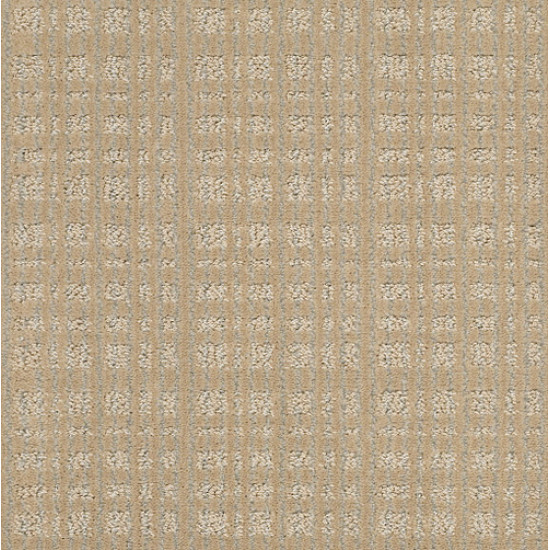 PURRSUASION - Sunrise 00253 PURRSUASION - Sunrise 00253