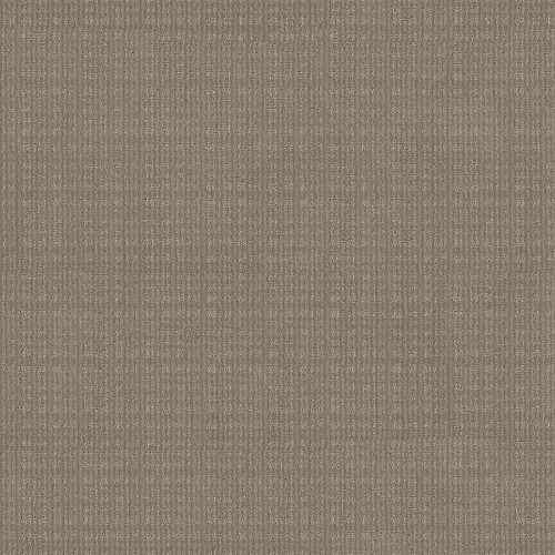 PURRSUASION - Favorite Tan 00272
