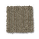 PURRSUASION - Urban Jungle 00355 PURRSUASION - Urban Jungle 00355