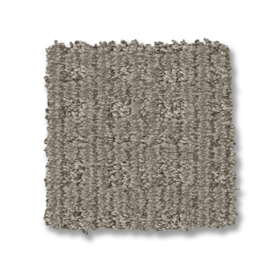 PURRSUASION - Backdrop 00572 PURRSUASION - Backdrop 00572