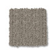 PURRSUASION - Backdrop 00572 PURRSUASION - Backdrop 00572
