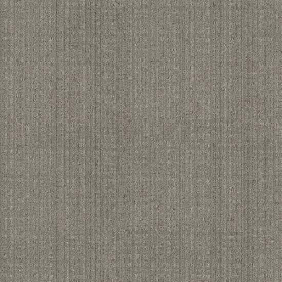 PURRSUASION - Backdrop 00572 PURRSUASION - Backdrop 00572