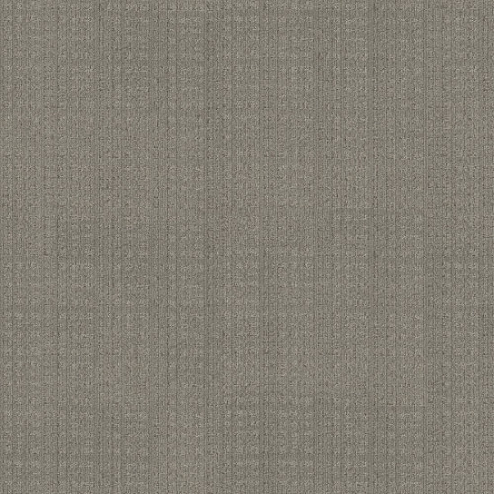 PURRSUASION - Backdrop 00572 PURRSUASION - Backdrop 00572