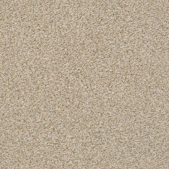 THE BARK SIDE I - Pecan 00213