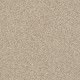 THE BARK SIDE I - Pecan 00213