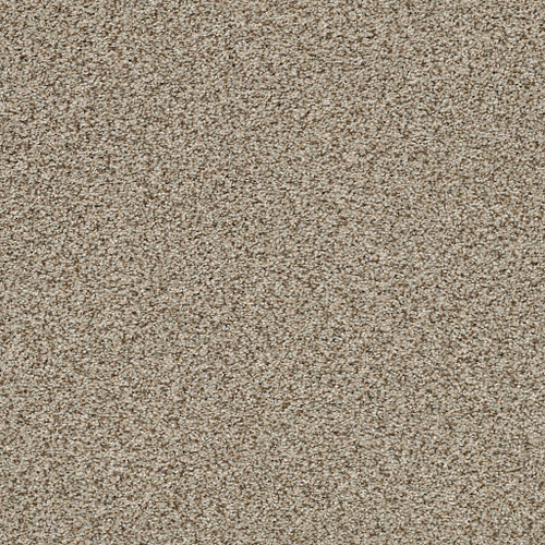 THE BARK SIDE I - Sandstone 00272