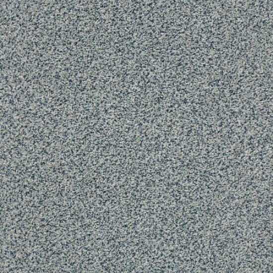 THE BARK SIDE I - Sprinkle 00446