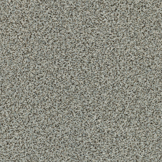 THE BARK SIDE II - Tide Water 00412