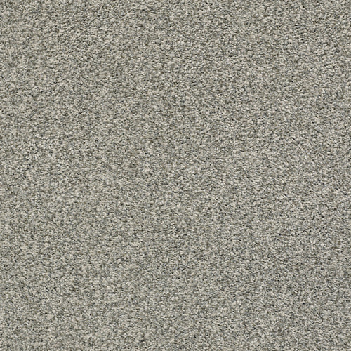 THE BARK SIDE II - Abalone 00511