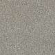 THE BARK SIDE II - Abalone 00511 THE BARK SIDE II - Abalone 00511