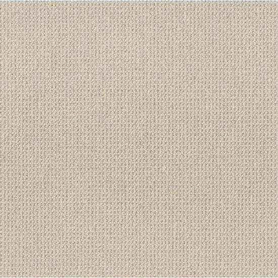 PURRFECTION - Mocha Cream 00151 PURRFECTION - Mocha Cream 00151