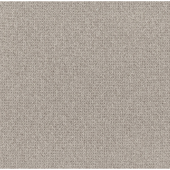 PURRFECTION - Flagstone 00553
