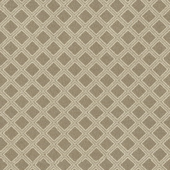 SCOUT - Sesame 00213