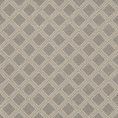 SCOUT - Oyster Shell 00511