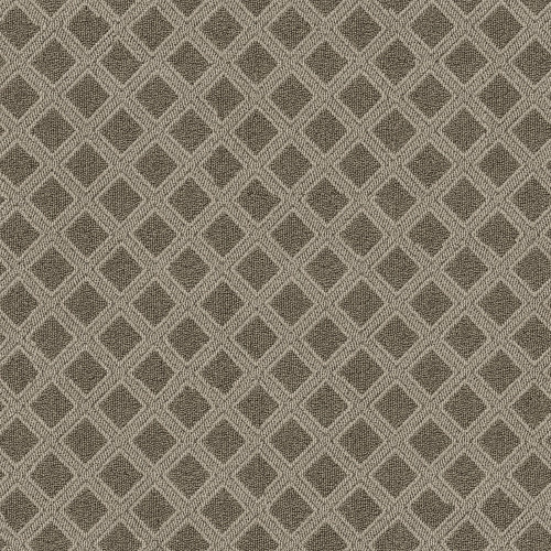 SCOUT - Desert Palm 00717