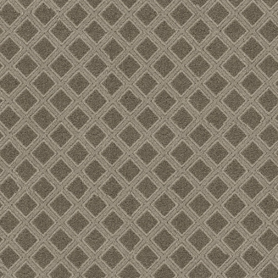 SCOUT - Desert Palm 00717