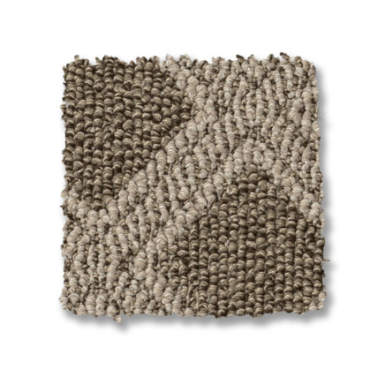 SCOUT - Desert Palm 00717