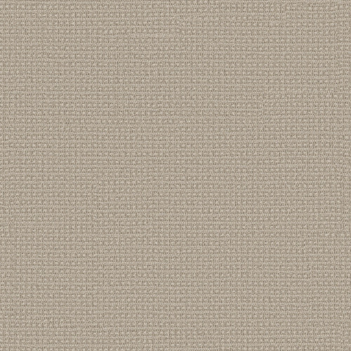 FETCH - Birch 00111