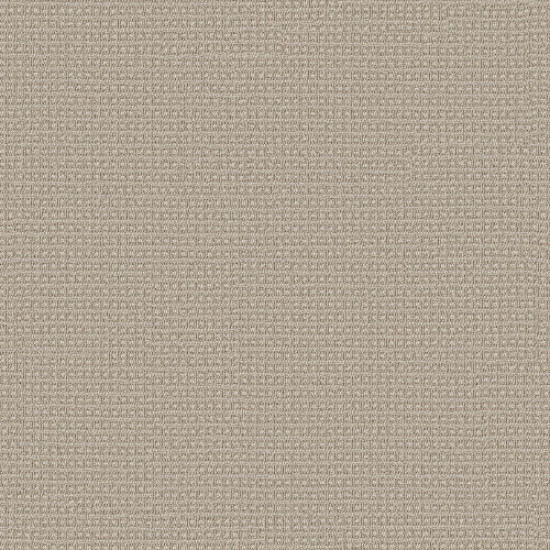 FETCH - Birch 00111 FETCH - Birch 00111