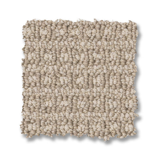 FETCH - Birch 00111 FETCH - Birch 00111