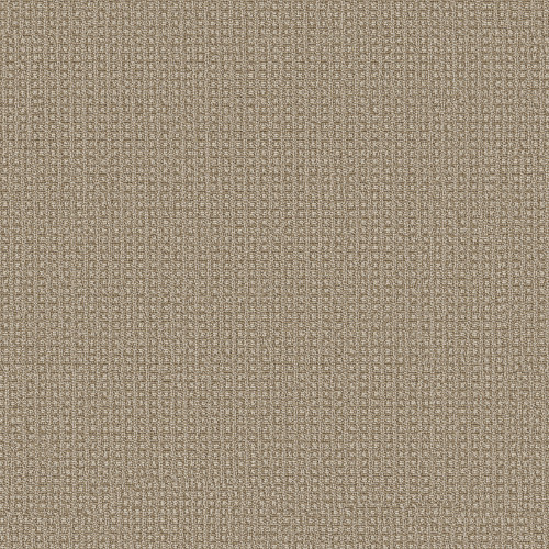 FETCH - Sesame 00213