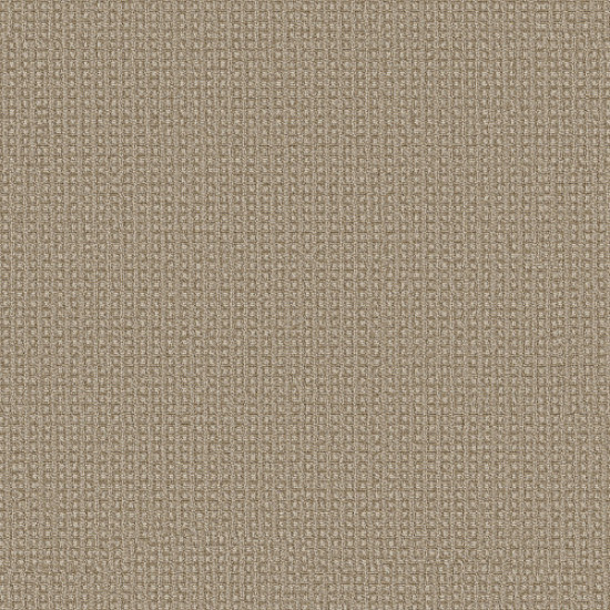 FETCH - Sesame 00213 FETCH - Sesame 00213