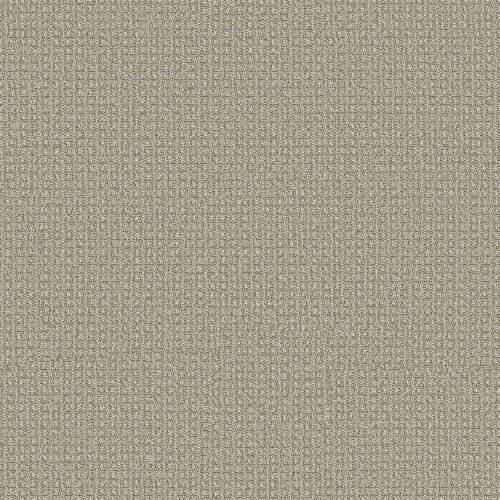 FETCH - Soft Fern 00312