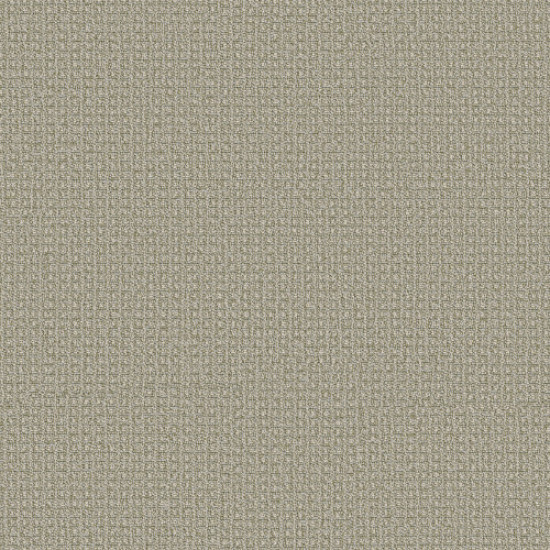 FETCH - Soft Fern 00312