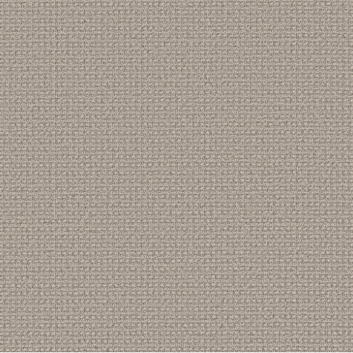 FETCH - Oyster Shell 00511